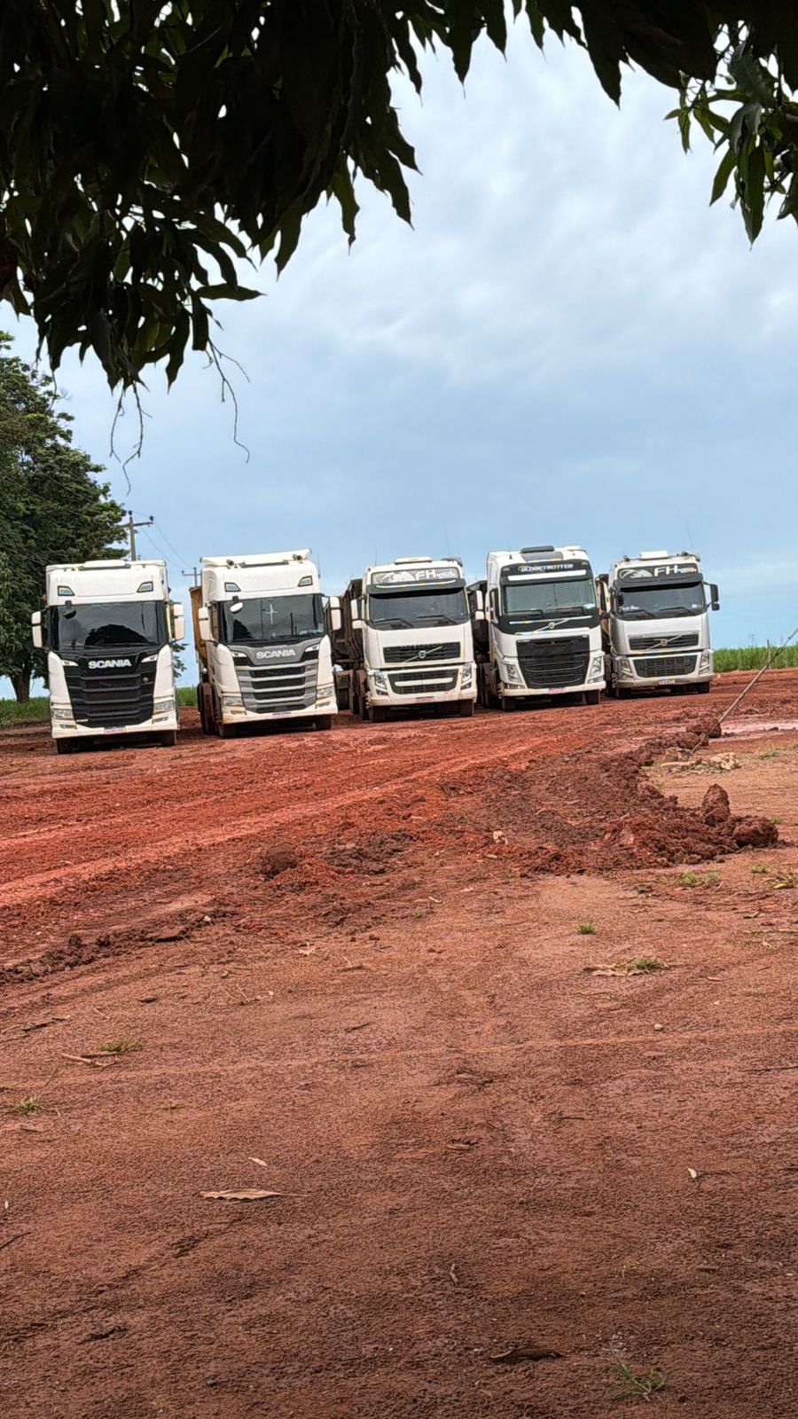 Frota Pressure Transportes - Vista Lateral